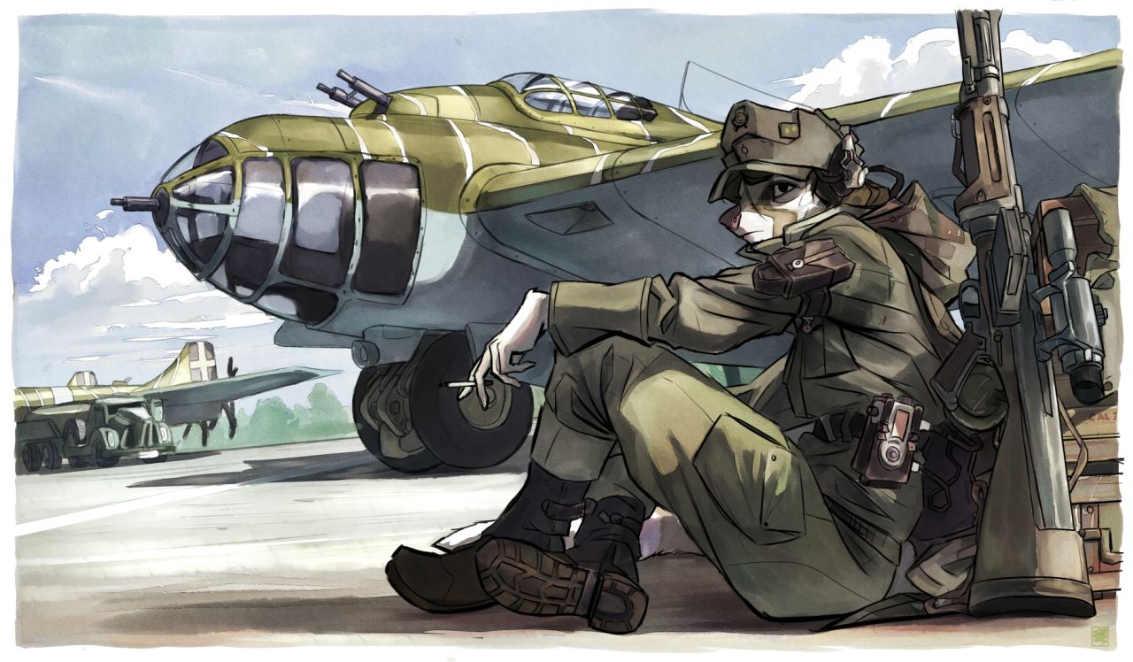 air force furries