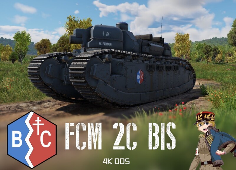 fcm2cbis.jpg