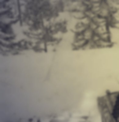 Wt Live Psykoosipanda