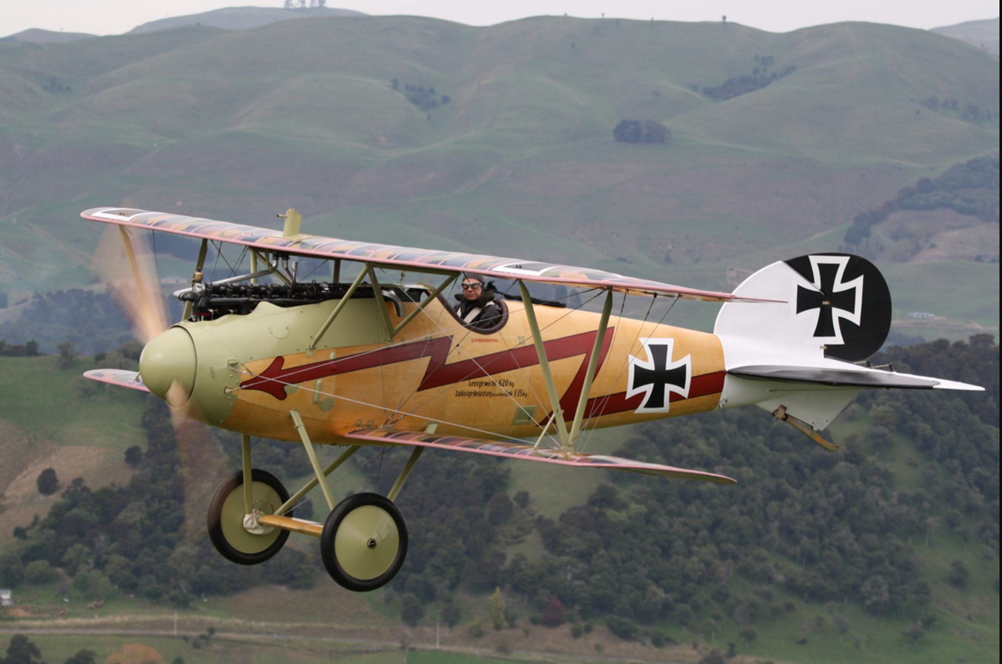 D lll. Albatros d.III. Albatros d3 самолет. Альбатрос самолет Германия 1 мировая. Биплан Albatros d.III.