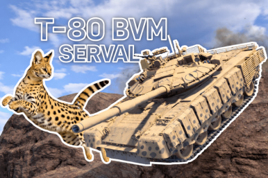 WT Live // Camouflage by ZJ_dragon