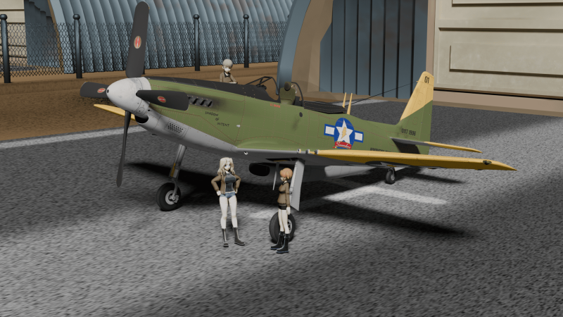 p51c.png