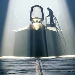 WT Live // Raptor__9