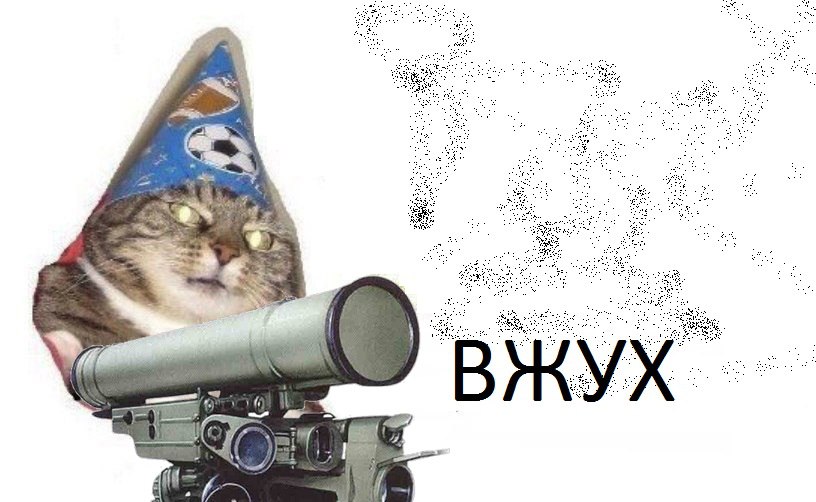 Кот вжух картинка