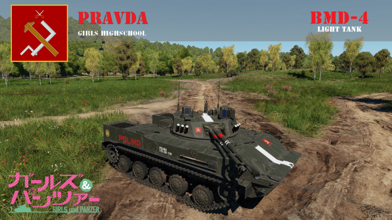 BMD-4.png