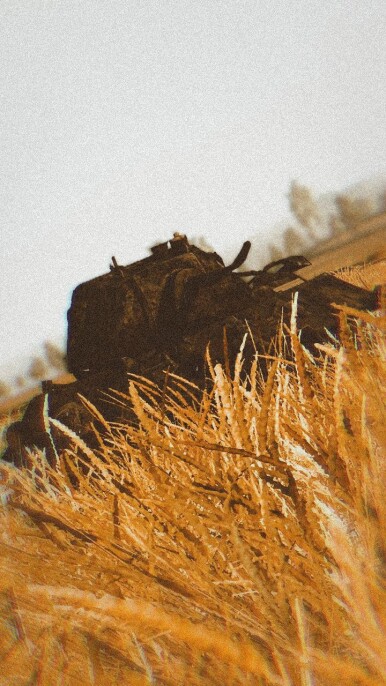 WT Live // Image by Gavin2806 WT Live // Image by Gavin2806