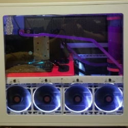 T7 Chicken Computer WT Live // Carnivore07