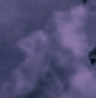 WT Live // Saltedbark // Hidden posts