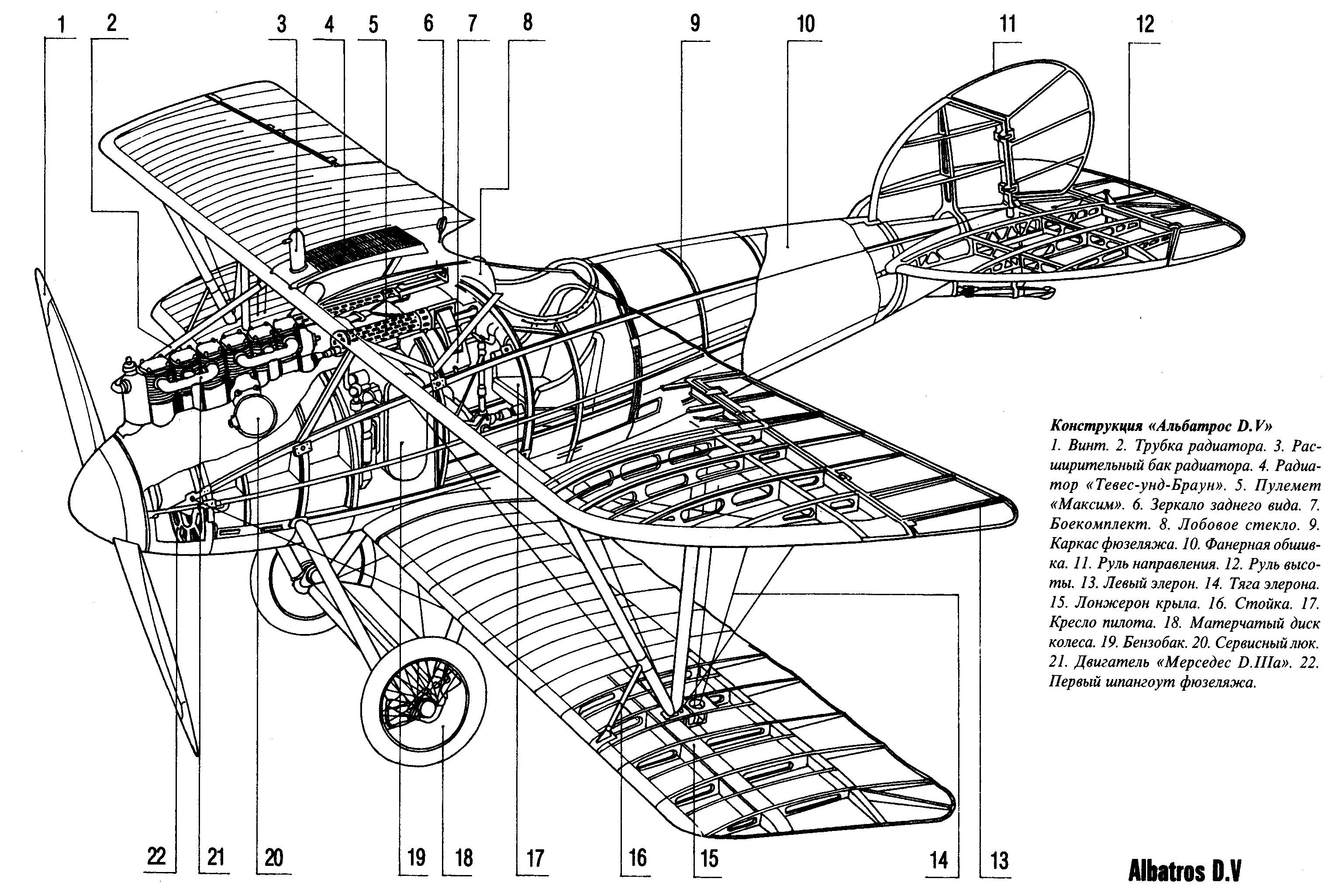 Конструкция самолета. Строение биплана. Немецкий самолет с винтом сзади. Albatros d v схема. Строение самолета биплана.