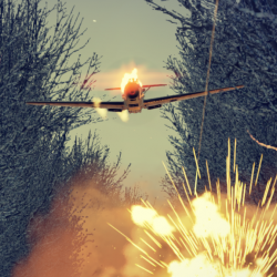 Wt Live Psykoosipanda